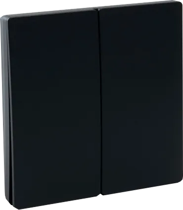 Выключатель дистанционного управления 230V 500W двухклавишный, TM82, черный