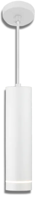 DLR023 12W 4200K / Светильник светодиодный стационарный белый матовый Electrostandart 300*79mm